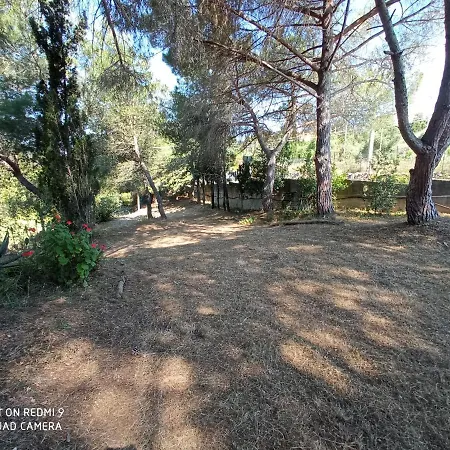 Baddelonga San Pasquale